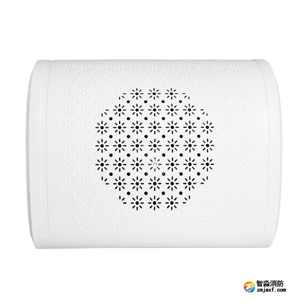 四川海灣HY6253壁掛揚聲器