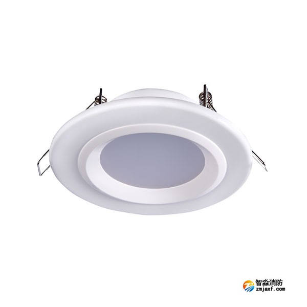 四川海灣HW-ZFJC-E6W-N621集中電源集中控制型消防應急照明燈具
