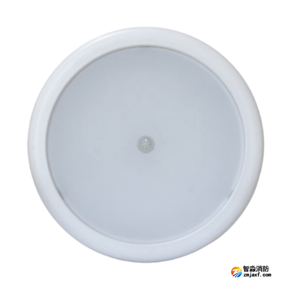 四川海灣HW-ZFJC-E6W-N656HW集中電源集中控制型消防應急照明燈具